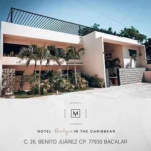 https://mayanah-bacalar.quintano-roohotels.com